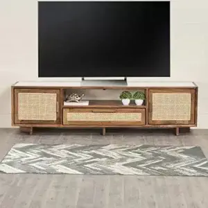 home intertainment